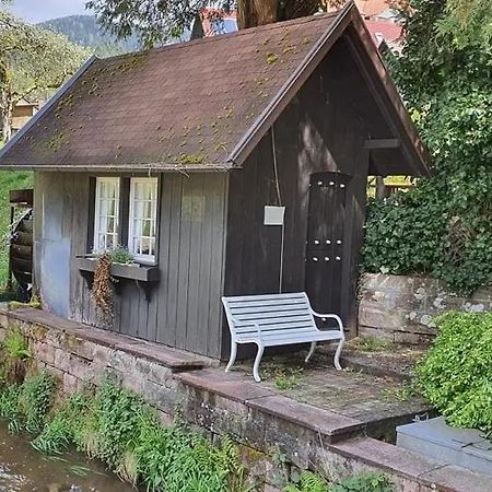 Schwarzwald Idyll Oberharmersbach Eksteriør bilde